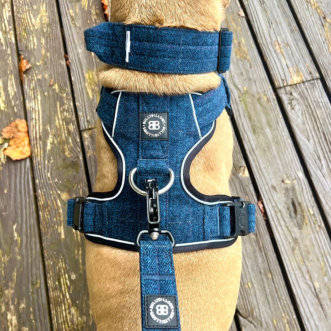 featured image of 5cm Tweed Combat® Collar - Midnight Blue