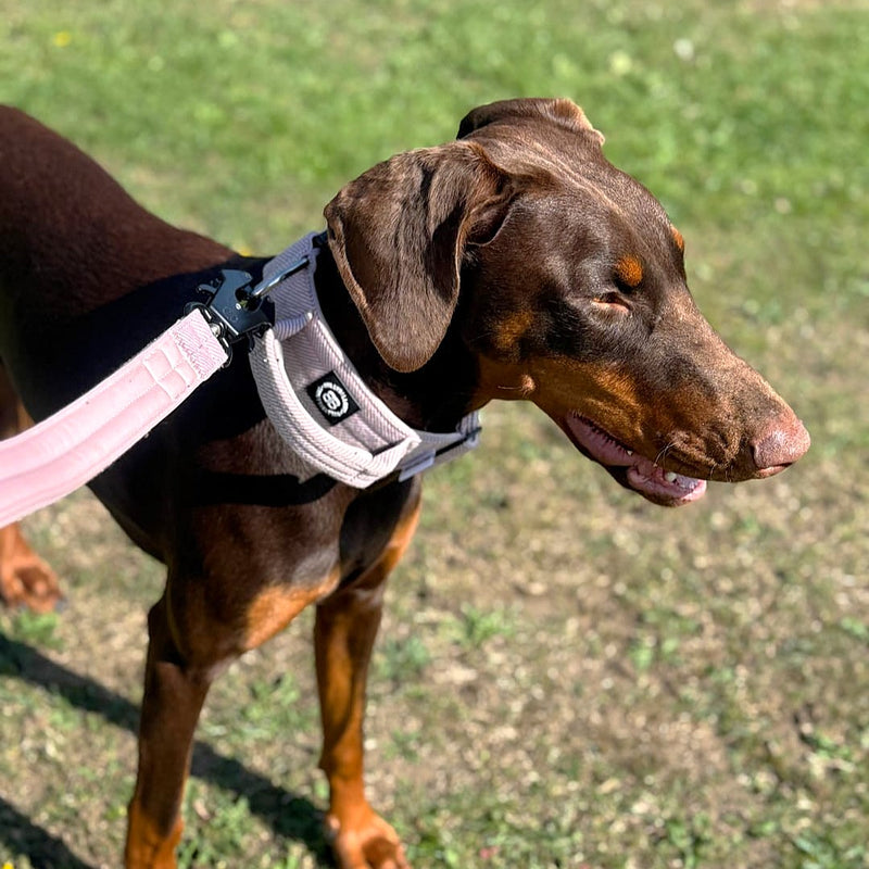 5cm Herringbone Combat® Collar | With Handle & Secure Clip - Soft Pink