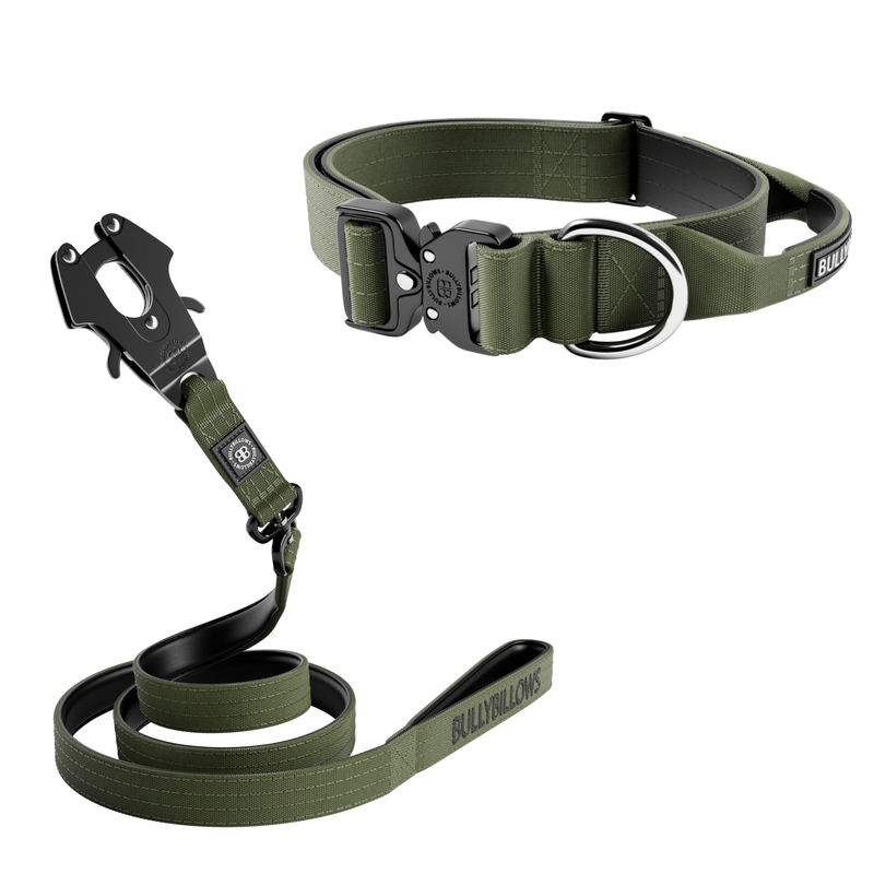 4cm Combat® Collar & Swivel Combat Lead Bundle - Khaki