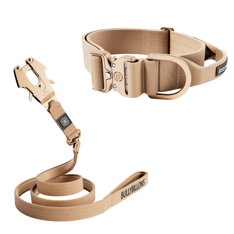 5cm Lighter Combat® Collar & Lighter Swivel Lead Bundle - Tan x Tan