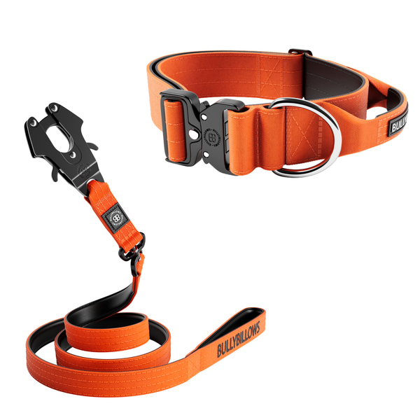 5cm Combat® Collar & Swivel Combat Lead Bundle - Orange