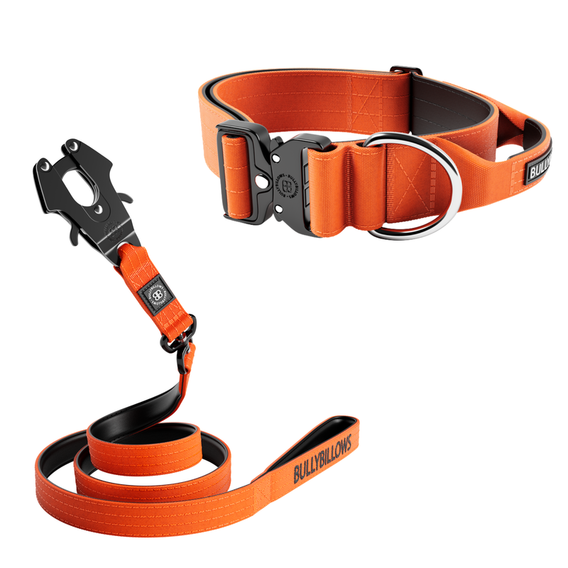 5cm Combat® Collar & Swivel Combat Lead Bundle - Orange