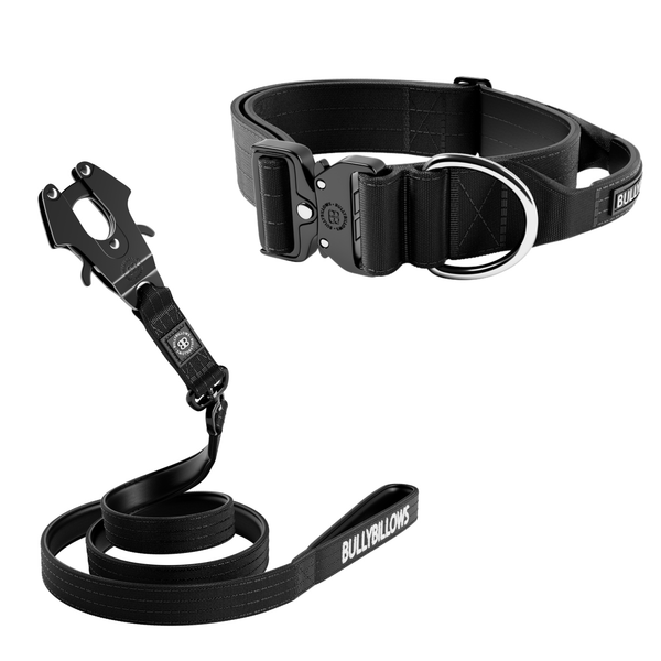 5cm Combat® Collar & Swivel Combat Lead Bundle - Black