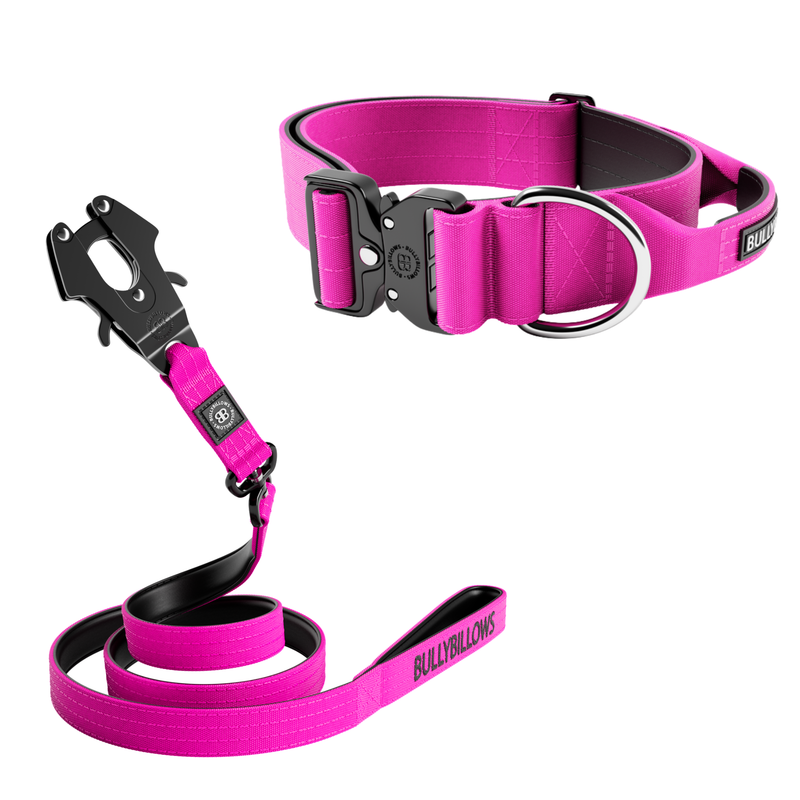 5cm Combat® Collar & Swivel Combat Lead Bundle - Magenta