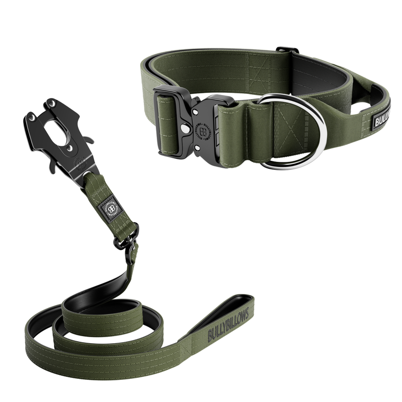 5cm Combat® Collar & Swivel Combat Lead Bundle - Khaki