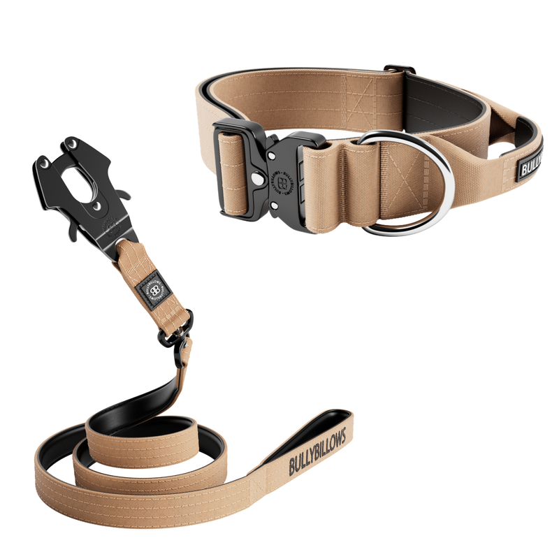 5cm Combat® Collar & Swivel Combat Lead Bundle - Tan