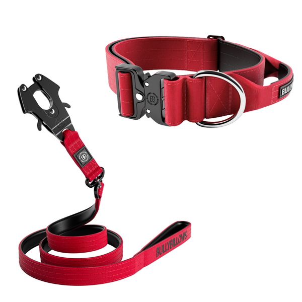 5cm Combat® Collar & Swivel Combat Lead Bundle - Red