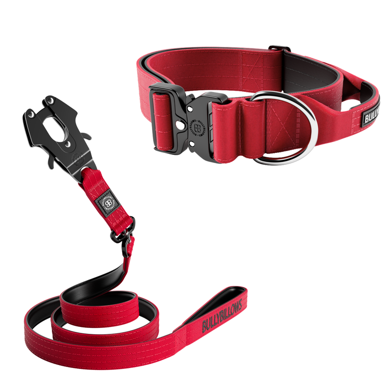 5cm Combat® Collar & Swivel Combat Lead Bundle - Red