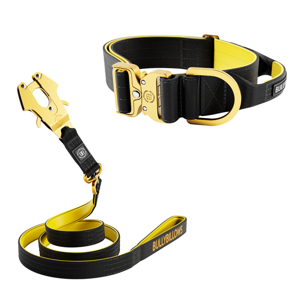 5cm Lighter Combat® Collar & Lighter Swivel Lead Bundle - Black x Yellow