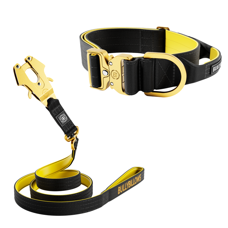 5cm Lighter Combat® Collar & Lighter Swivel Lead Bundle - Black x Yellow