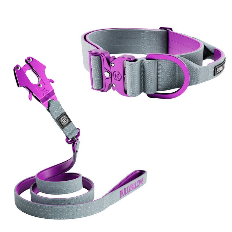5cm Lighter Combat® Collar & Lighter Swivel Lead Bundle - Purple x Metal Grey