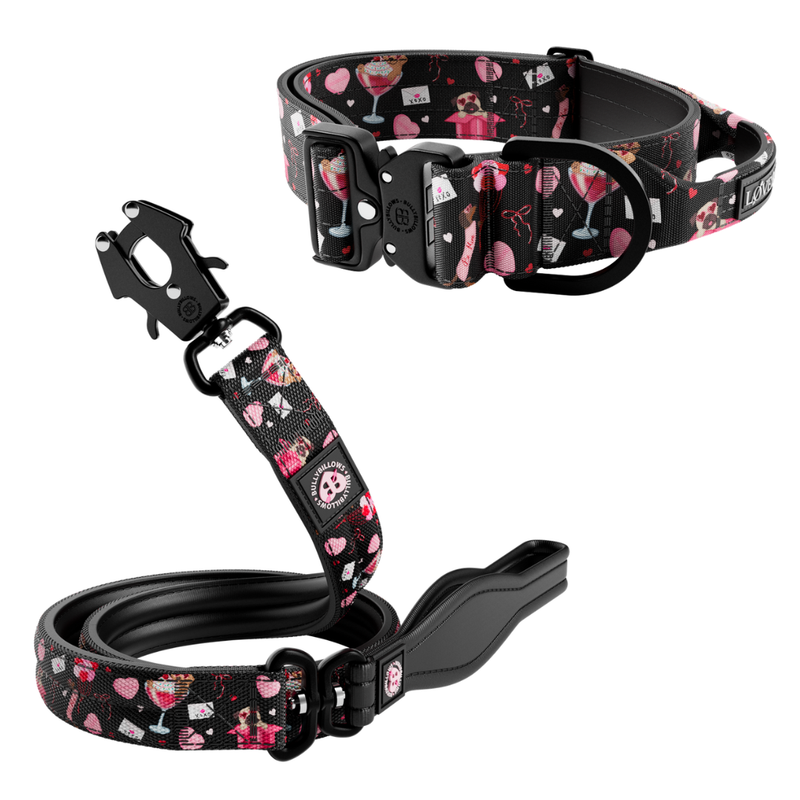 Power Love 5cm Collar and Lead Bundle - Black