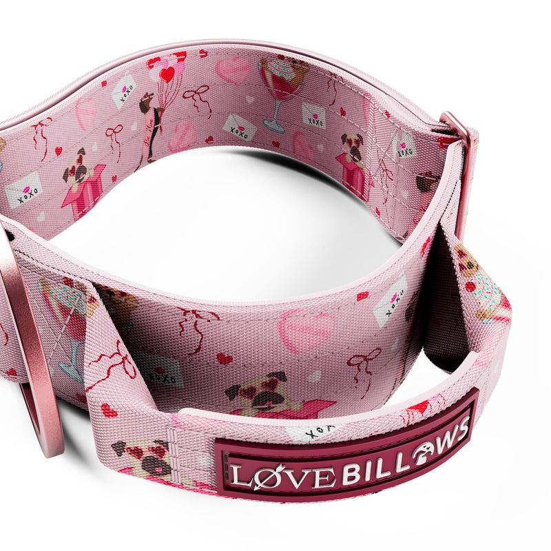 Power Love 5cm Collar and Lead Bundle - Pink