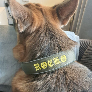 Khaki collar with yellow text in Celtic font
