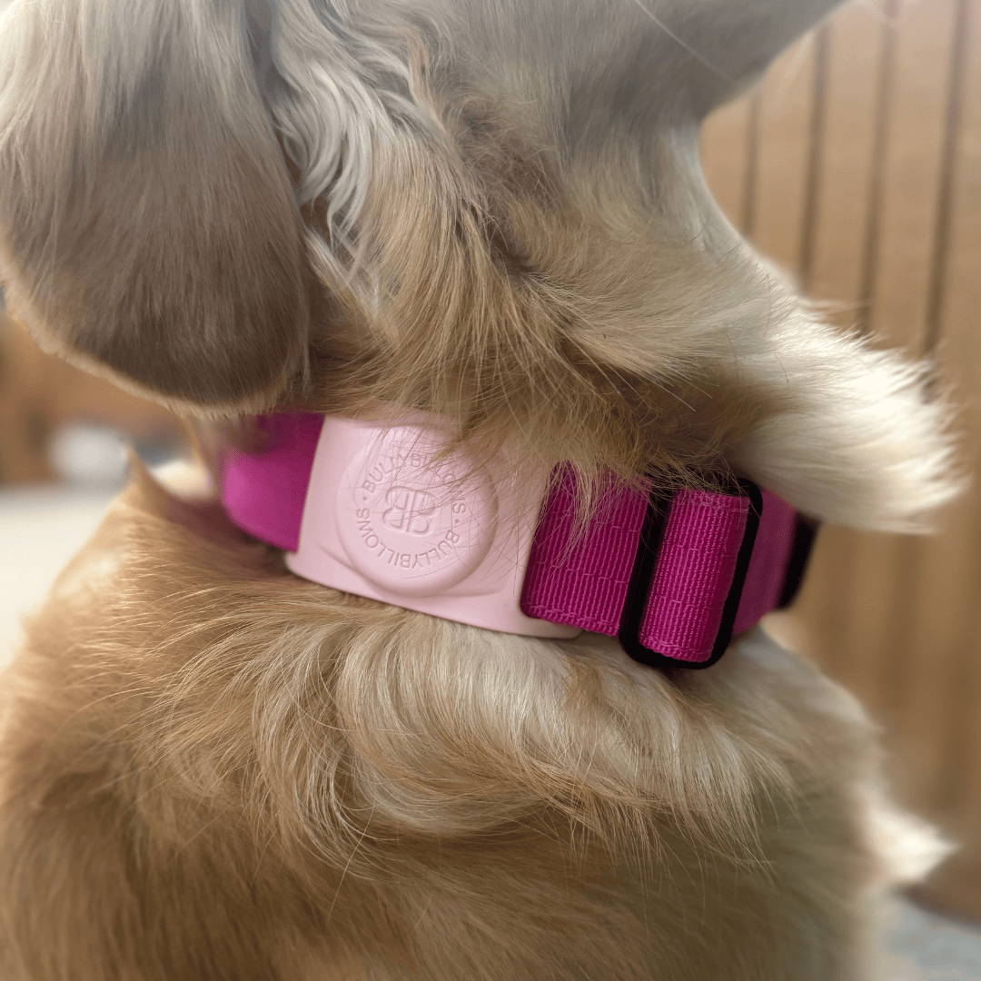 featured image of Air Tag Holder