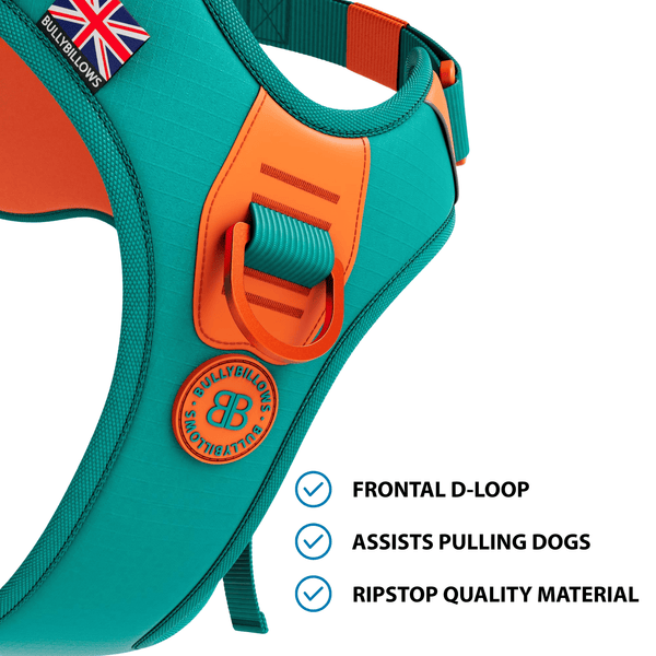 Anti Pull Hurricane Harness Lighter | With Handle - Turquoise X Orange