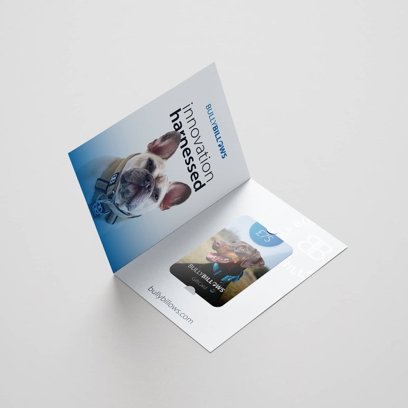 E-Gift Cards