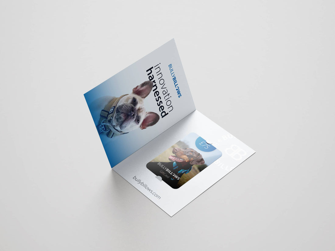 featured image of E-Gift Cards