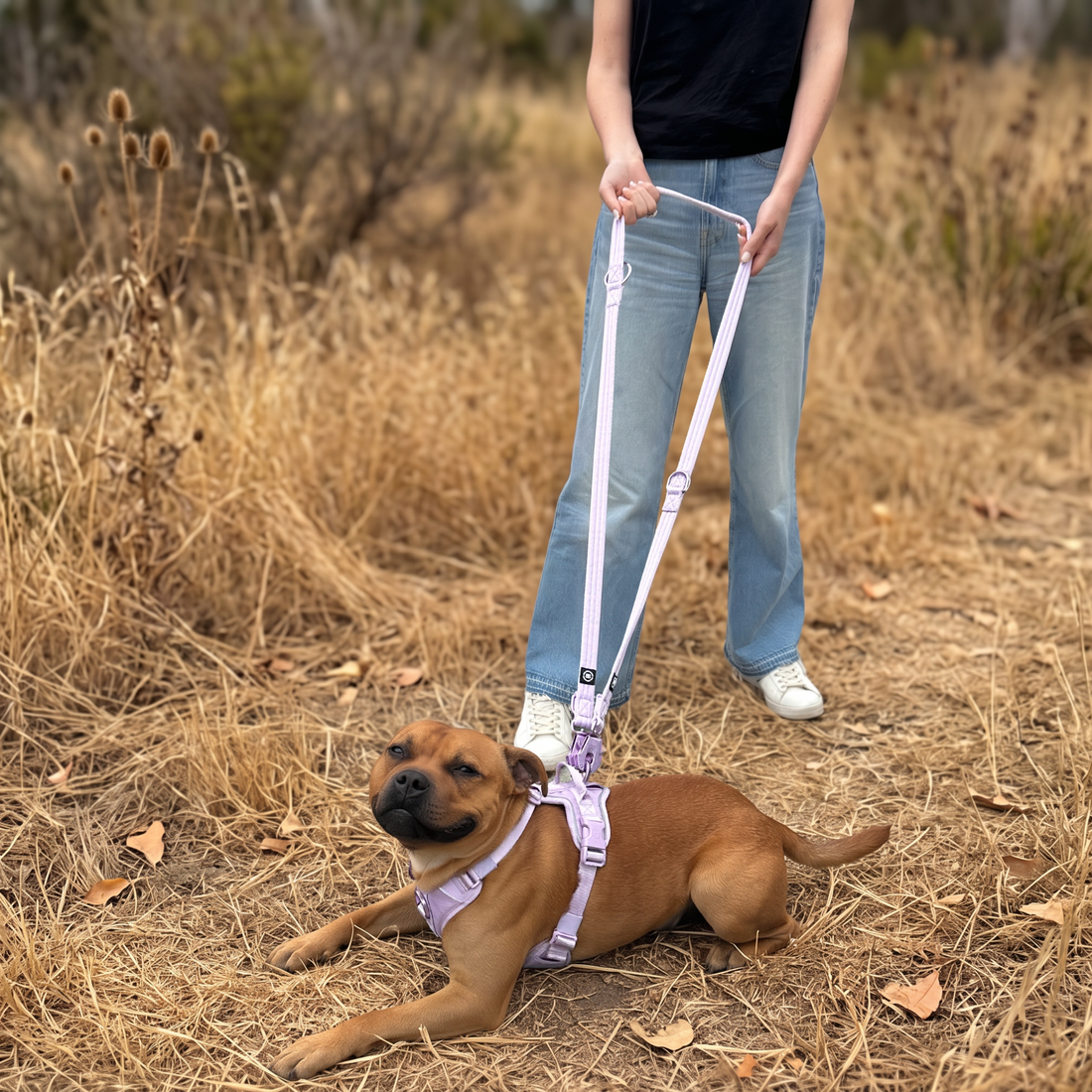 featured image of Lightweight Training Double Ended Dog Lead | 2m Length - Grey