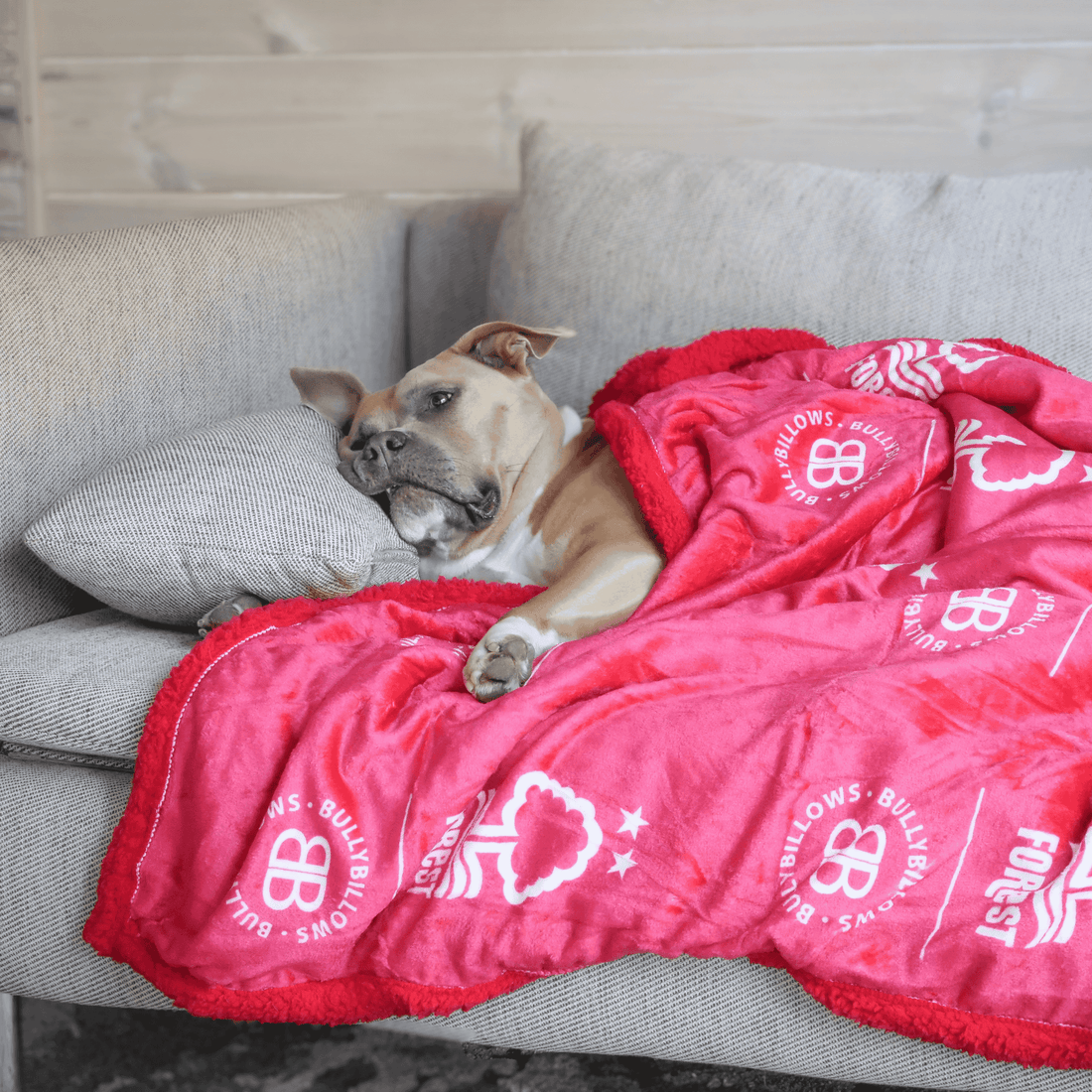 featured image of Nottingham Forest Edition | Luxury Dog & Human Blanket