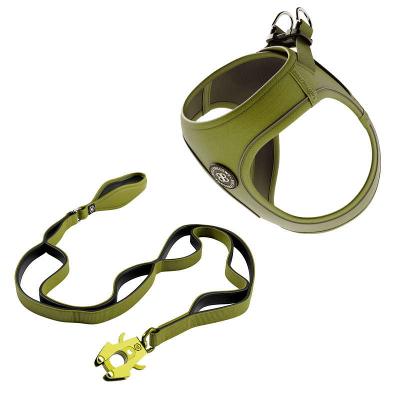 Step-in Harness & Ladder Combat Lead Bundle - Olive Green
