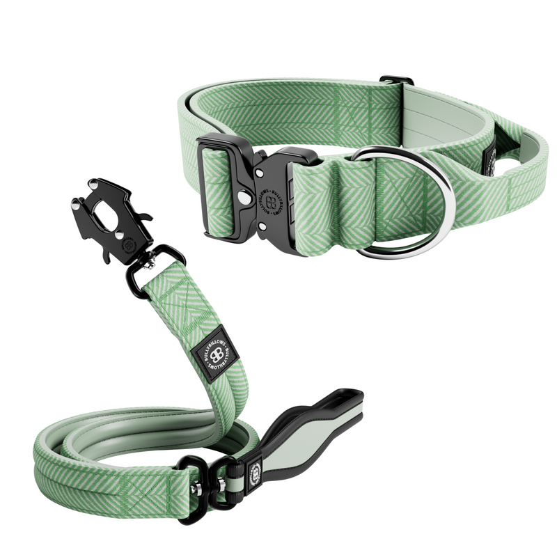 5cm Herringbone Collar & Lead Bundle – Mint Green