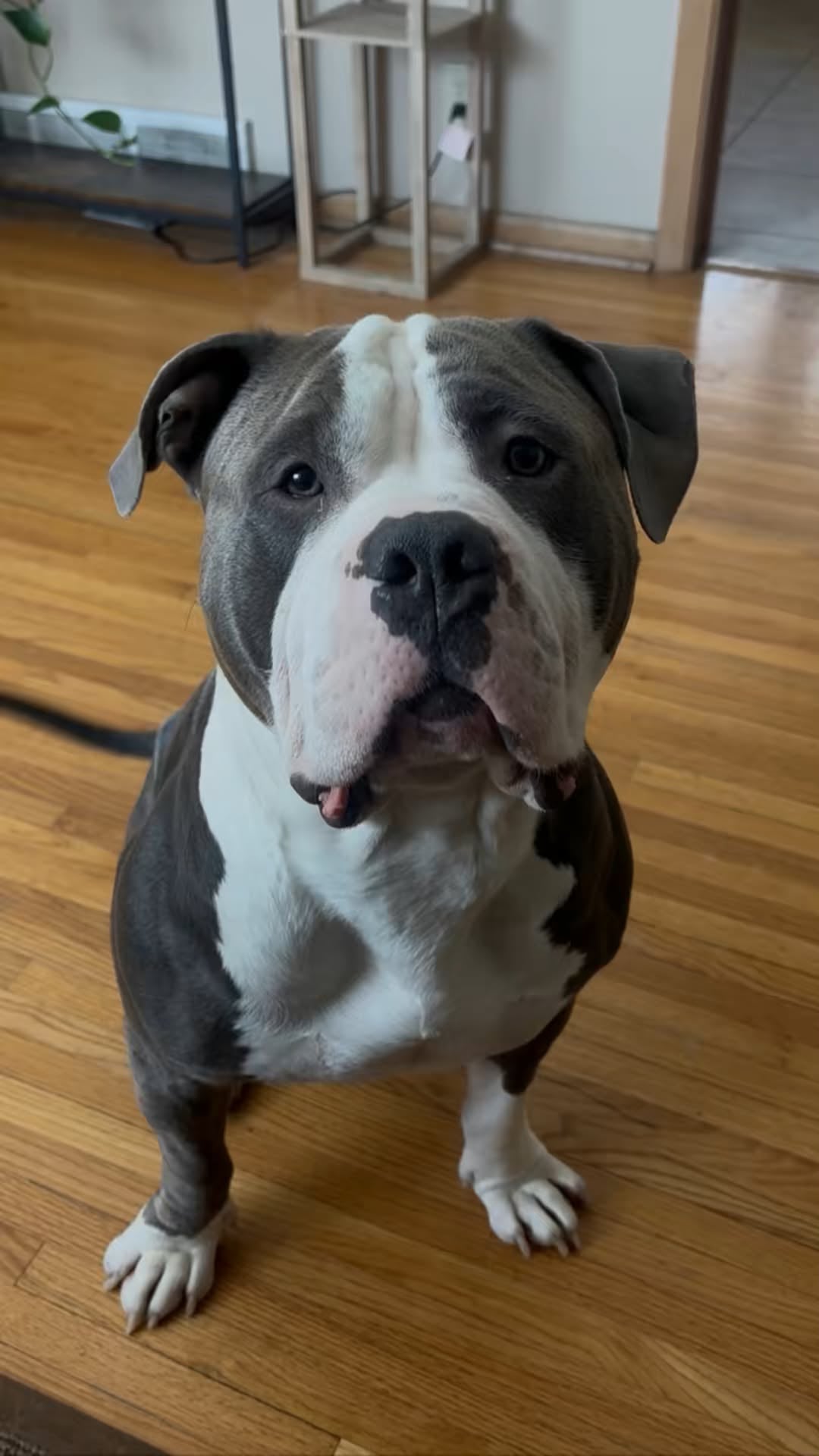 Reggie
