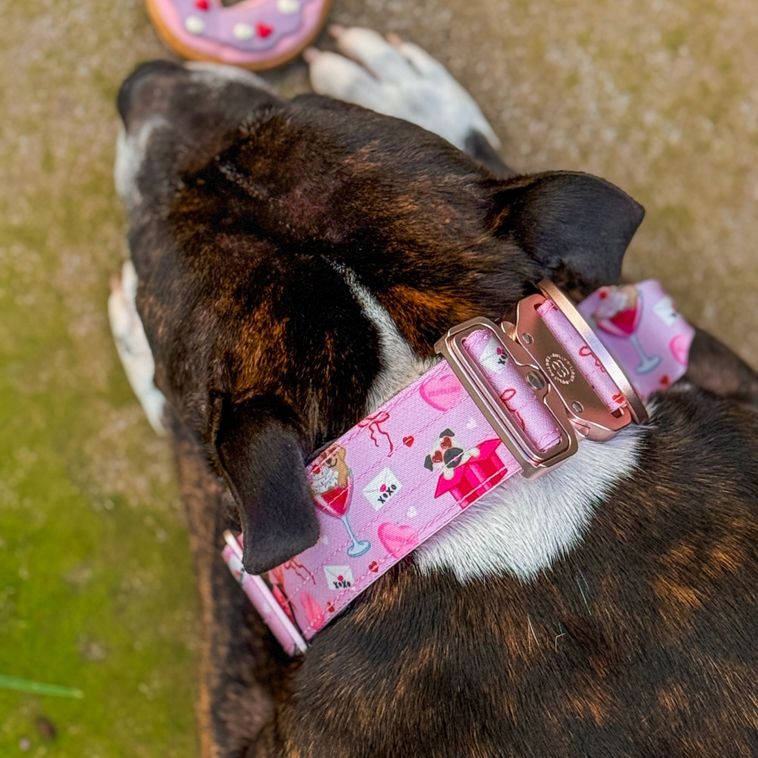 featured image of 4cm Lighter Combat® Collar  | With Handle & Secure Clip - Light Love Edition