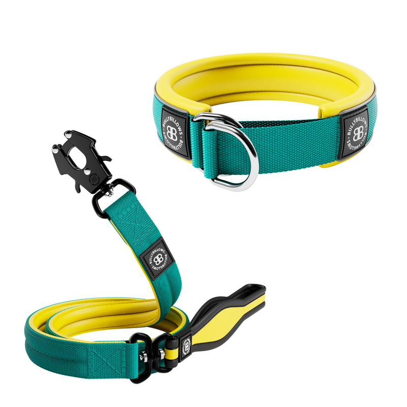 4cm Dual Tone Slip-on Collar & Lead Bundle – Turquoise x Yellow