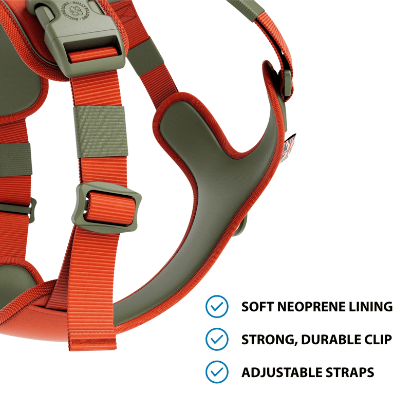 Anti Pull Hurricane Harness Lighter | With Handle - Burnt Orange X Khaki