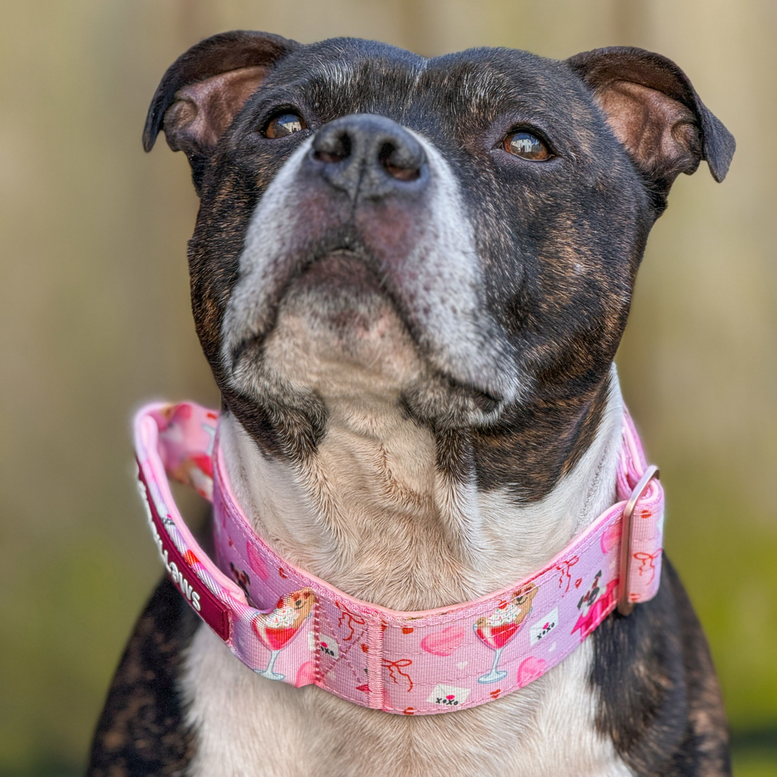 featured image of 4cm Lighter Combat® Collar  | With Handle & Secure Clip - Light Love Edition