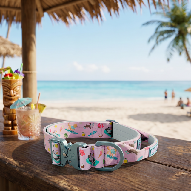 Balmy Combat Collars
