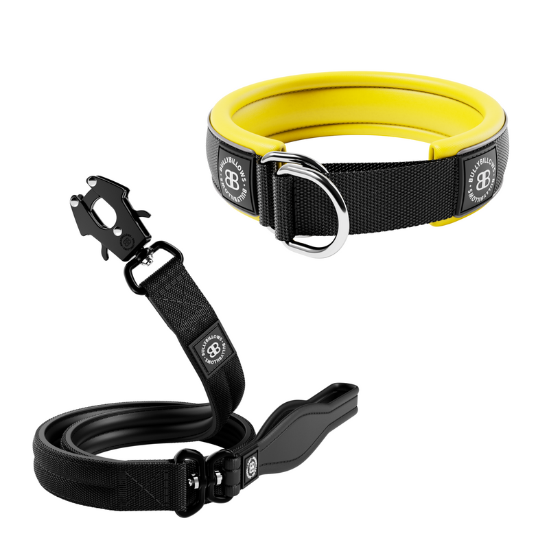 4cm Dual Tone Slip-on Collar & Lead Bundle – Black x Yellow