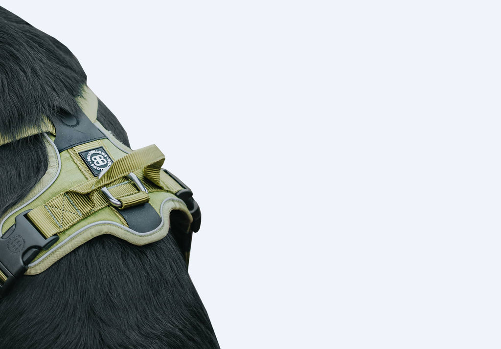 XXSXXL Lightweight BullyBillows Harnesses