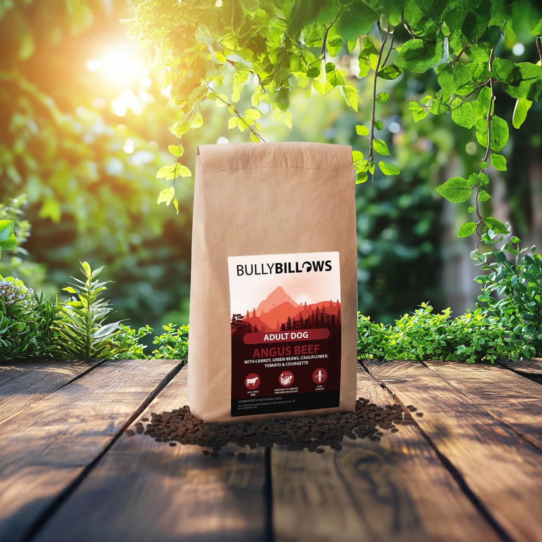 featured image of Angus Beef Dry Super Food - Adult
