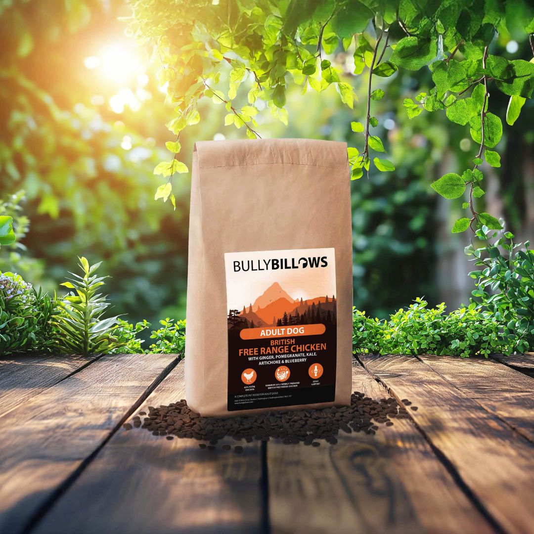 featured image of Free Range Chicken Dry Super Food - Adult