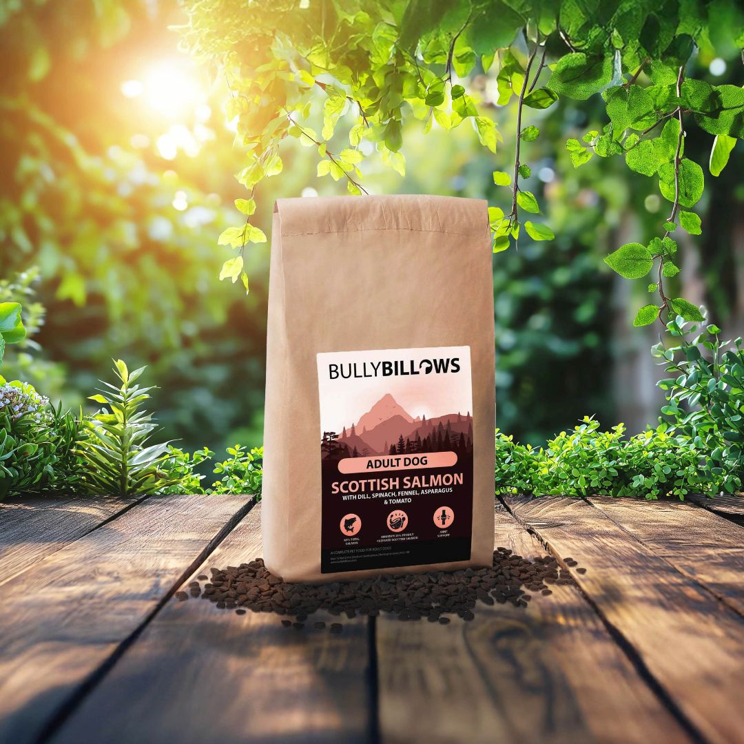 featured image of Scottish Salmon Dry Super Food - Adult
