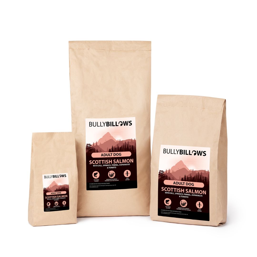 featured image of Scottish Salmon Dry Super Food - Adult
