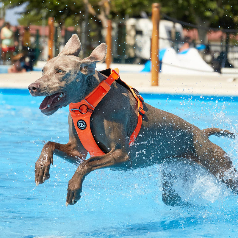 Air Harness | Anti-Pull & With Handle - Olive Green