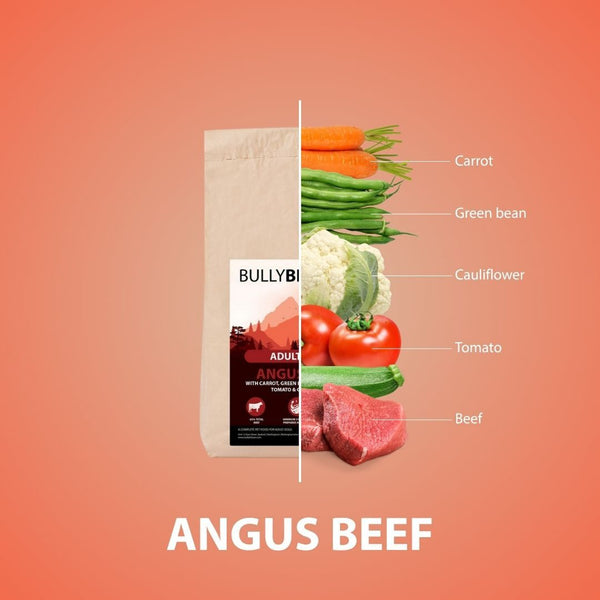 Angus Beef Dry Super Food - Adult
