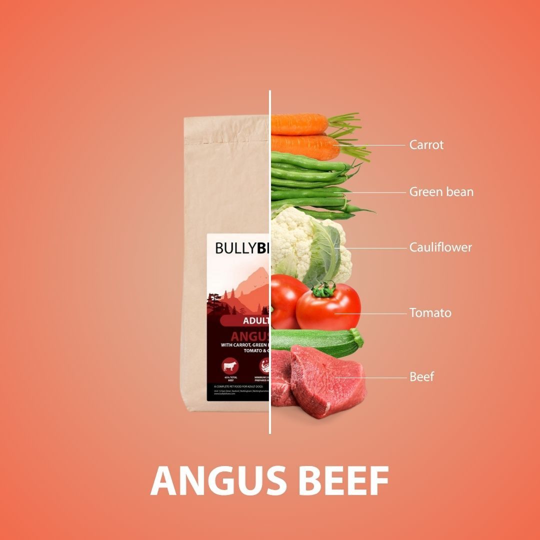 featured image of Angus Beef Dry Super Food - Puppy