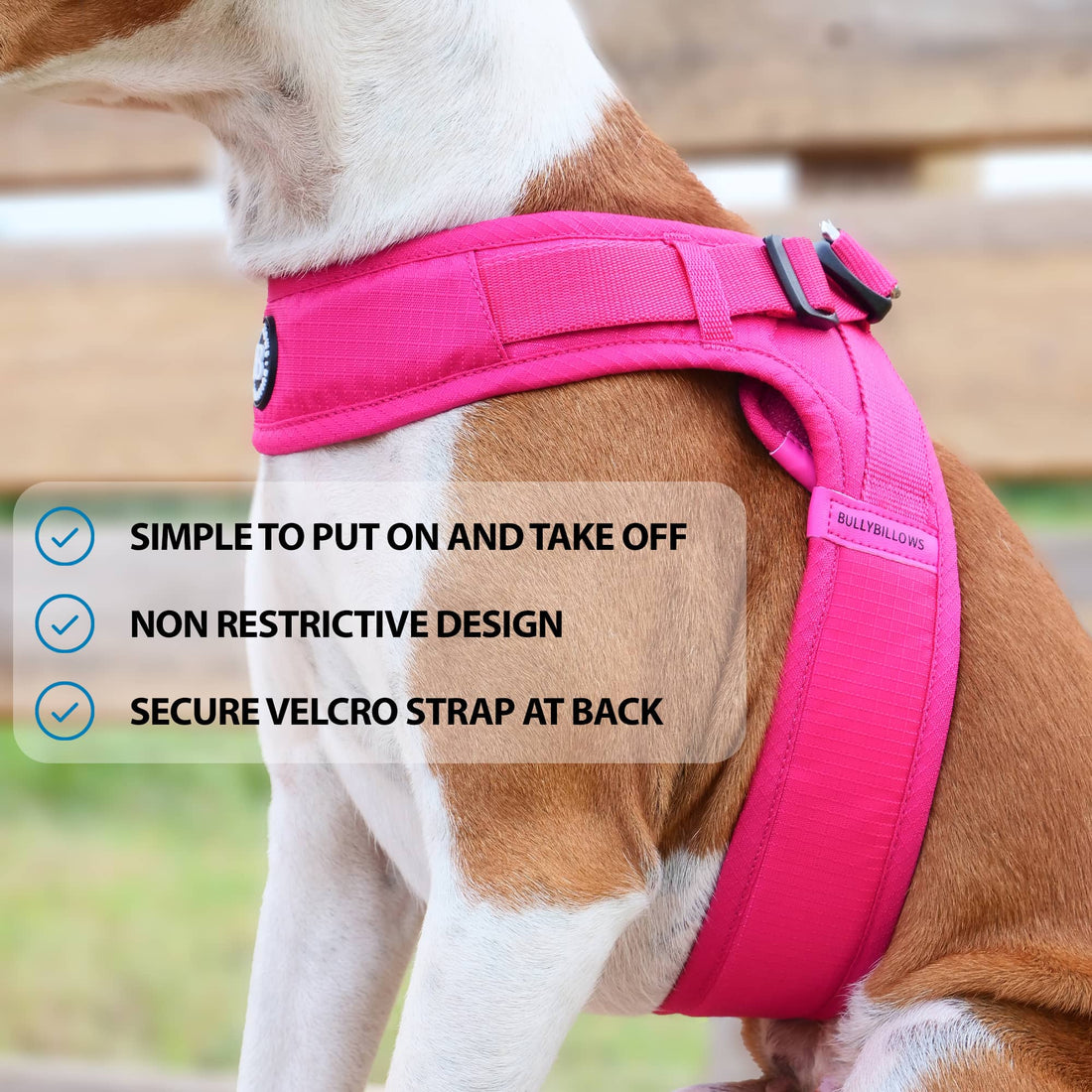 featured image of Boomerang Harness - XS-M Breeds - Pink