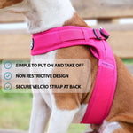 Boomerang Harness - Non Restrictive, Lightweight, Small - Medium Breeds - Pink