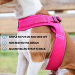 Boomerang Harness - Non Restrictive, Lightweight, Small - Medium Breeds - Teal