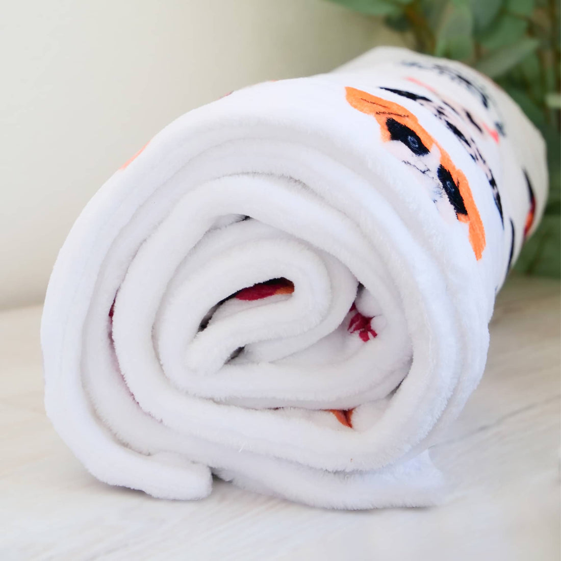 featured image of White Edition | Luxury Human & Dog Blanket