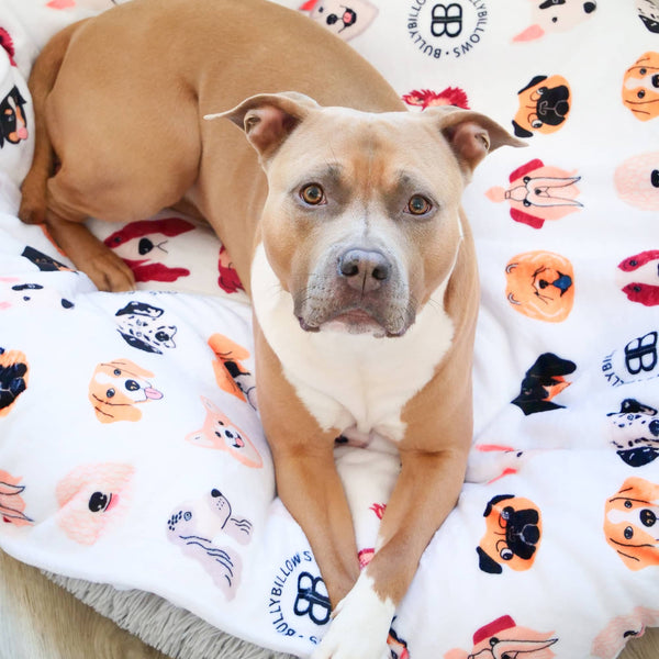 White Edition | Luxury Dog & Human Blanket