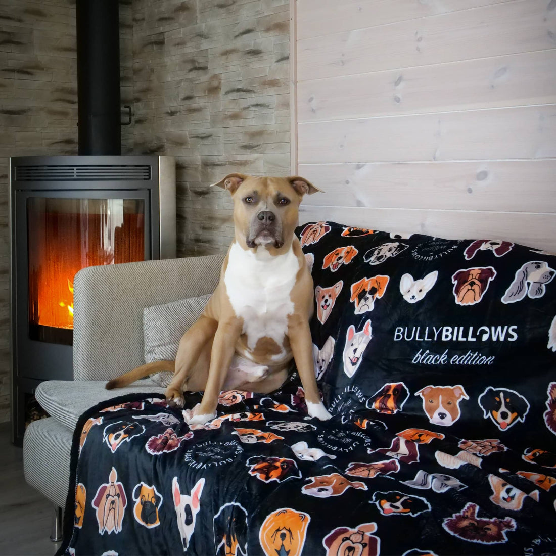 featured image of Black Edition | Luxury Blanket