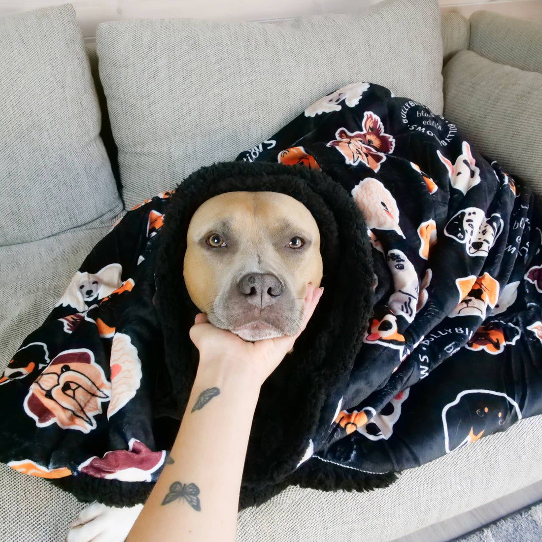 featured image of Black Edition | Luxury Blanket