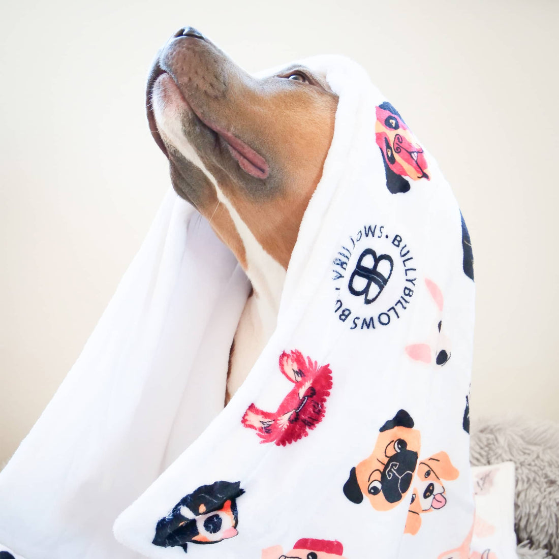 featured image of White Edition | Luxury Human & Dog Blanket
