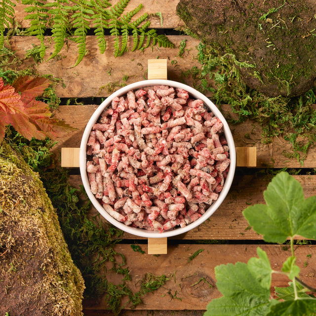 Raw Beef and Tripe